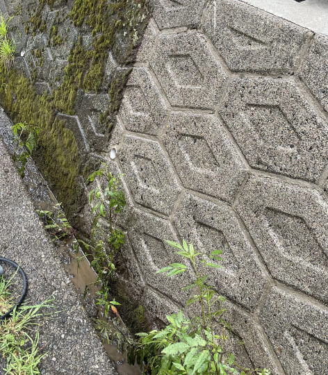 土間洗浄クリーニング